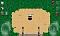 IRAGE's Avatar