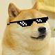"Where the real Doge followers are"-Doge