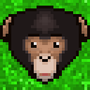 Monky's Avatar