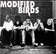We are the Modified Birds! Friend gang